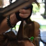 Fotos