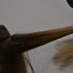 Fotos