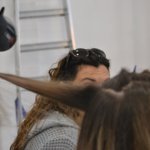 Fotos